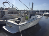 fiberglass-transom-platform-29-shamrock-2