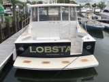 fiberglass-transom-platform-49-eastbay-FG-1