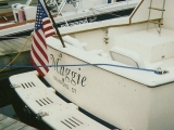 Fiberglass Transom Platforms-3